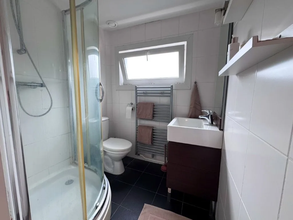 Badkamer met douchecabine, toilet, wastafelmeubel en handdoekradiator